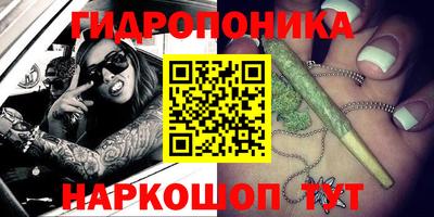 крисы Пушкино